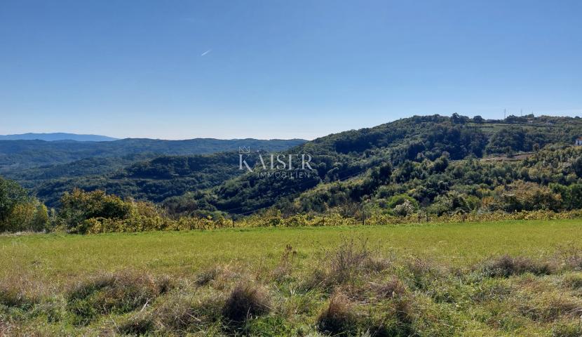 Istria, Motovun area, building plot with permission for a house