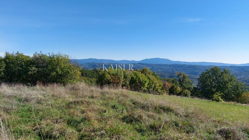 Istria, Motovun area, building plot with permission for a house