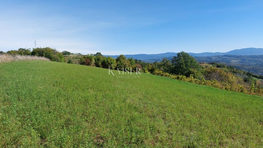 Istria, Motovun area, building plot with permission for a house