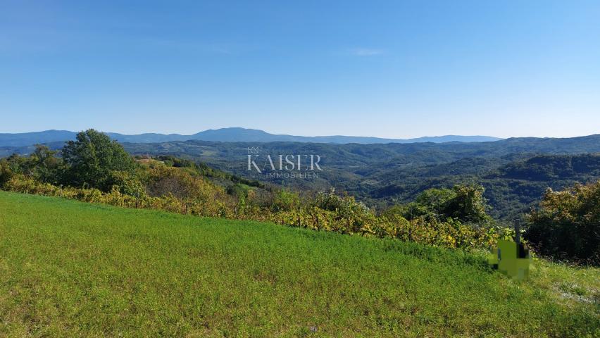 Istria, Motovun area, building plot with permission for a house