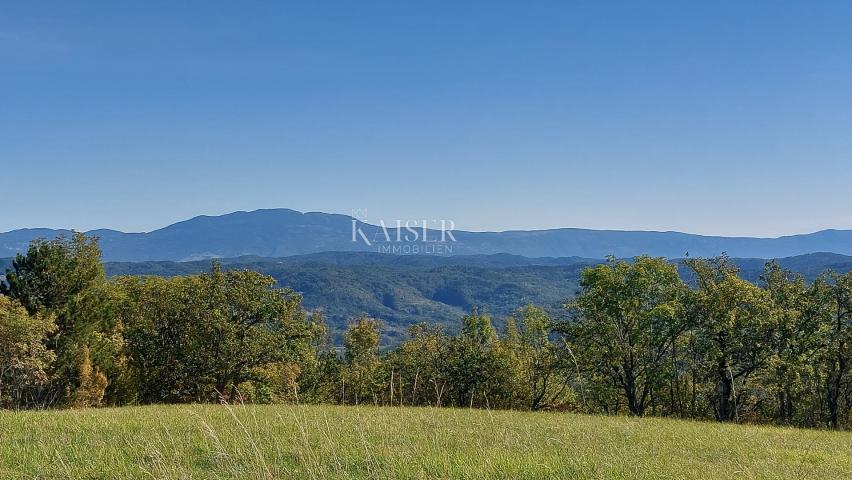 Istria, Motovun, building land for luxury villas