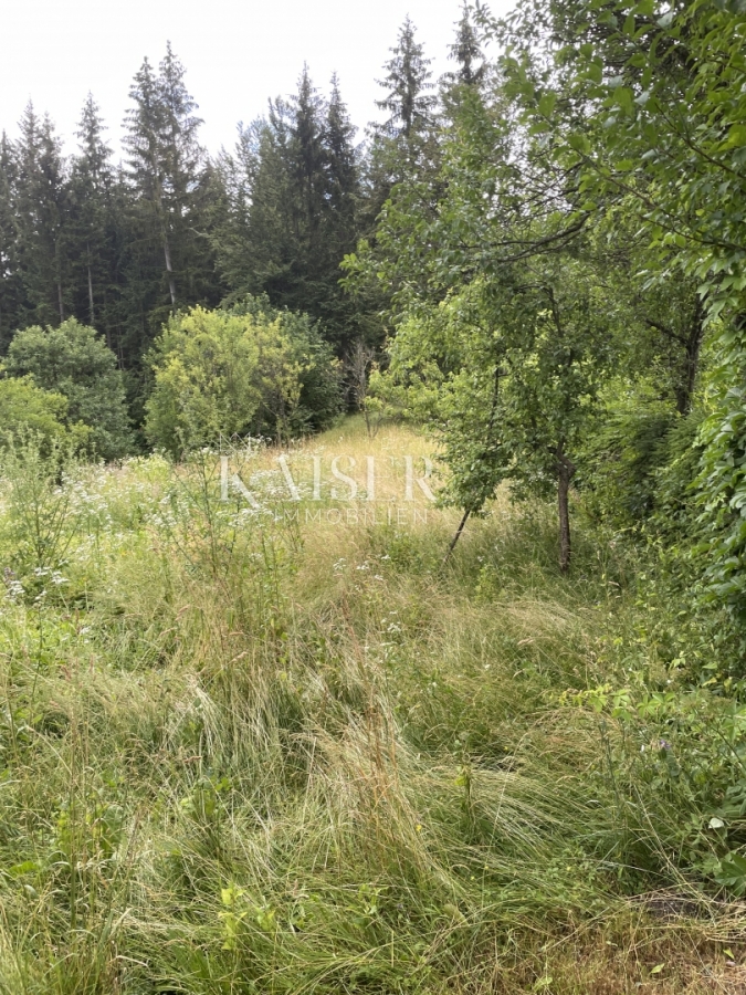 Building land Ravna Gora, 853m2