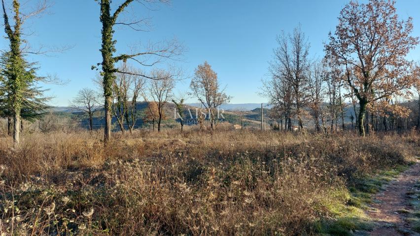 Istrien, Motovun-Gebiet, Grundstück mit Baugenehmigung