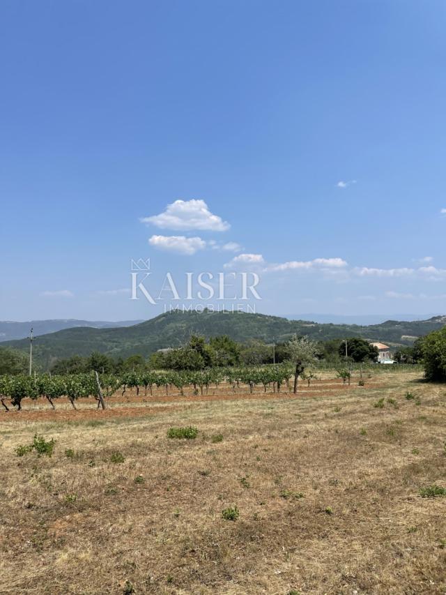 Istria, Motovun area, permission to build a house with a swimming pool