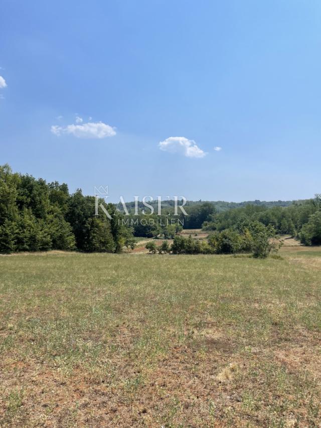 Istria, Motovun area, permission to build a house with a swimming pool