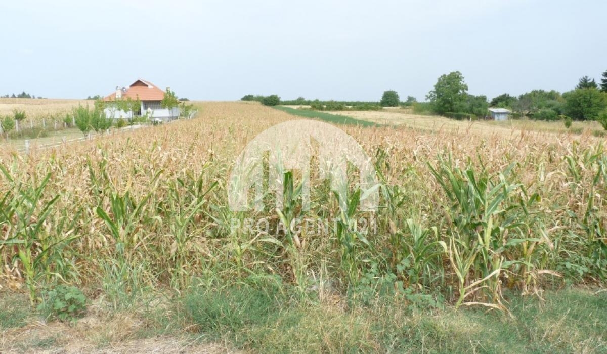 Prodaja, Građevinsko zemljište, Krušedol