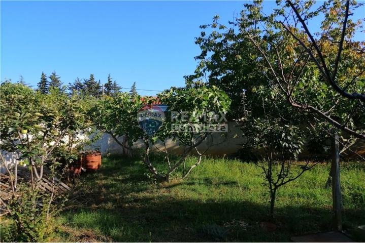 HAUS MIT GROSSEM GARTEN IN TOLLER LAGE