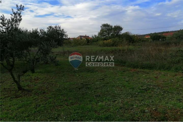 Building land, POSEDARJE- EXCELLENT LOCATION