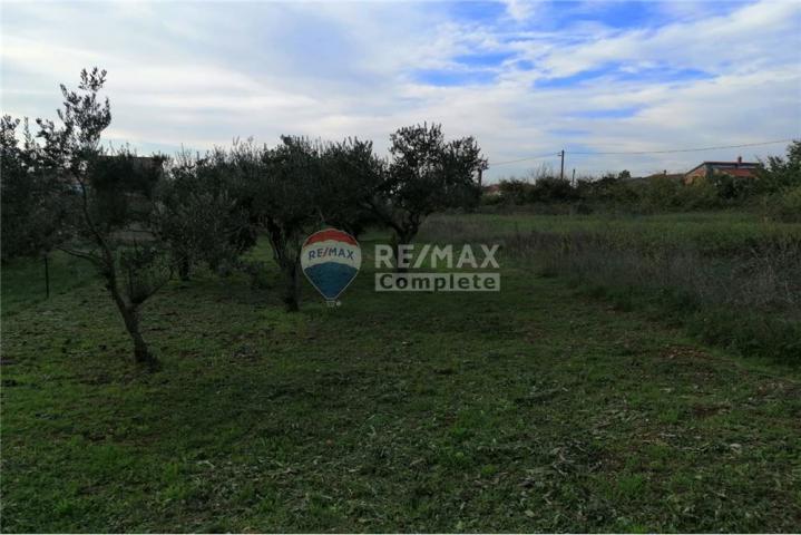 Building land, POSEDARJE- EXCELLENT LOCATION