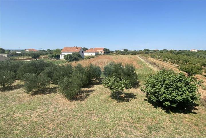 House Škabrnja, Škabrnje, 554m2