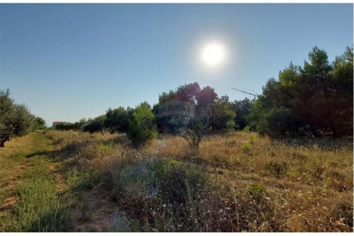 Land Privlaka, 4.150m2