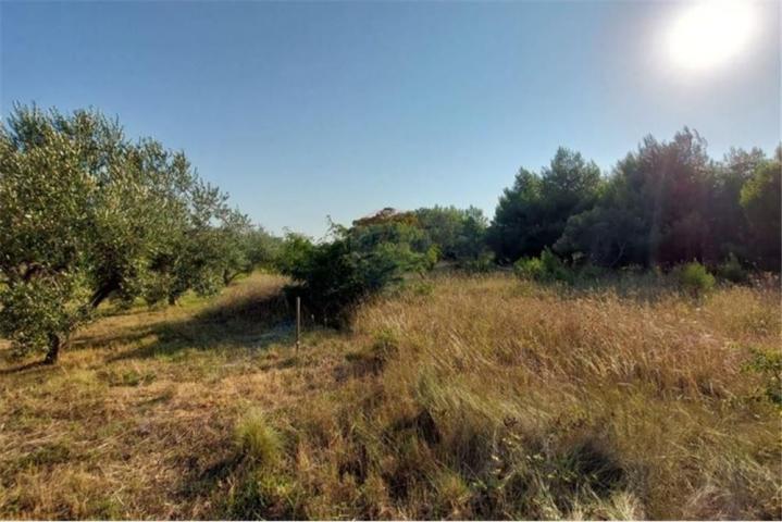 Land Privlaka, 4.150m2