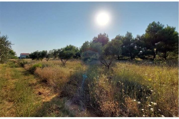 Land Privlaka, 4.150m2