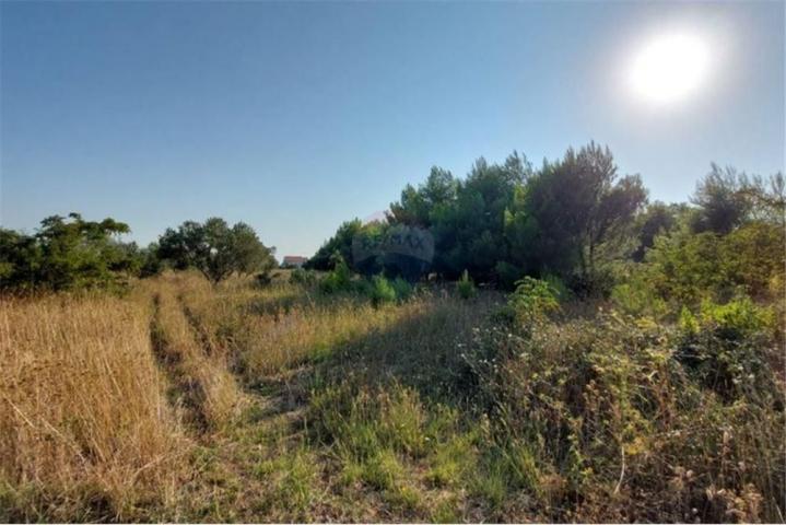 Land Privlaka, 4.150m2