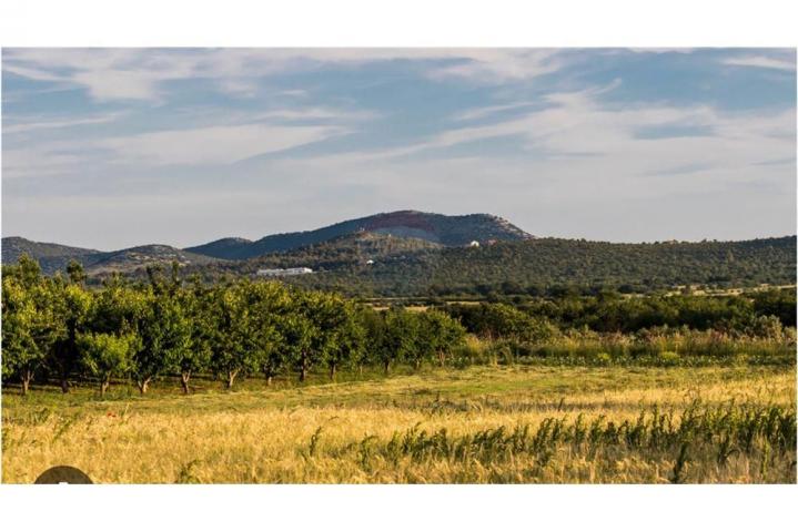 Land Zemunik Donji, 843m2