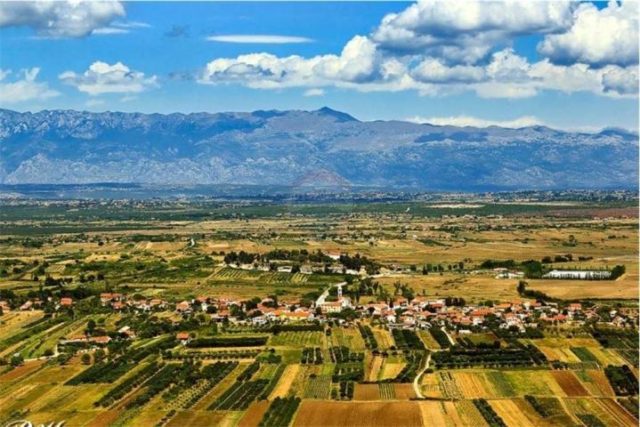 GRAĐEVINSKO ZEMLJIŠTE - DONJI ZEMUNIK