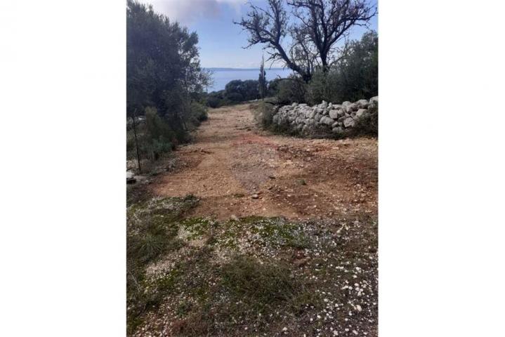 Land Lun, Novalja, 981m2