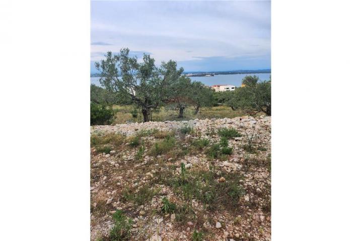 Land Tkon, 3.700m2