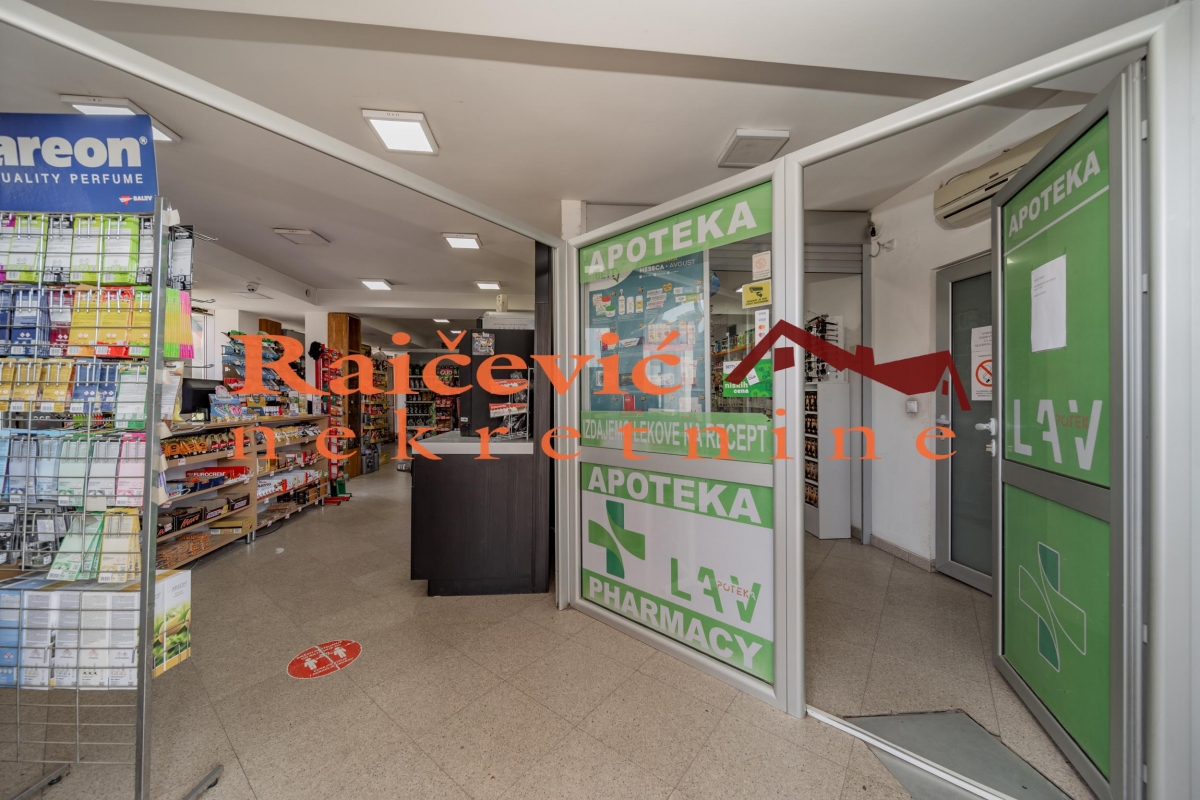 LESKOVAC LESKOVAC 540m2 , 1250000e