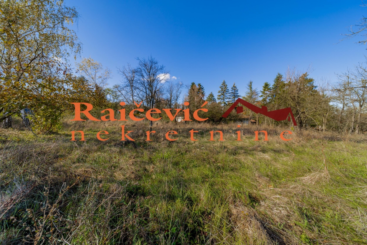 BARAJEVO BACEVAC 5115m2 , 250000e