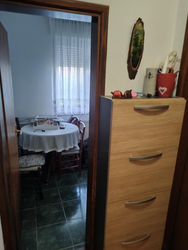 NOVI SAD - DETELINARA - 49. 00 m2