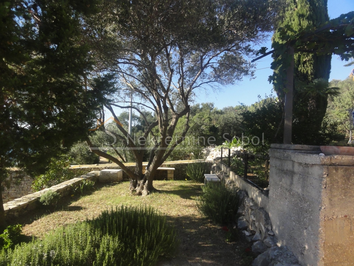 Mali Losinj, Island Unije - Boarding house, 368 m2