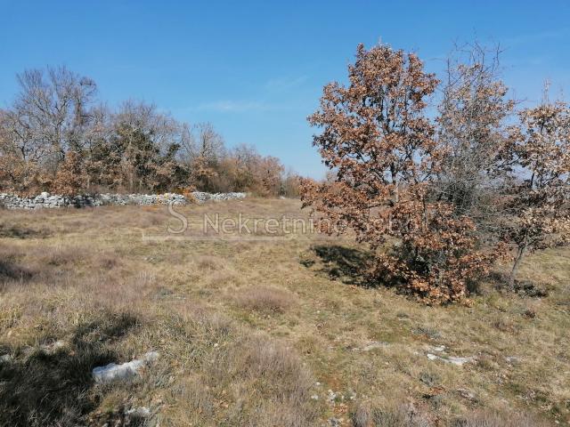 Višnjan, Zoričići - Zemljište, 19190 m2