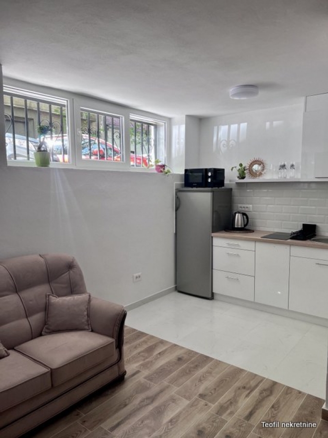 PALILULA BOTANIČKA BAŠTA 190m2 , (4 stana) , 615000e