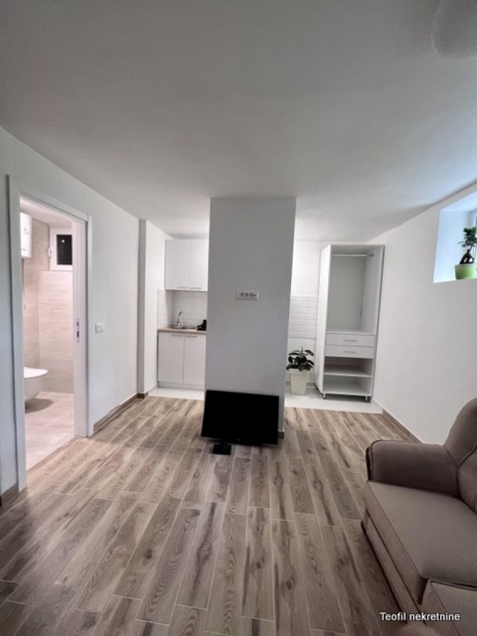 PALILULA BOTANIČKA BAŠTA 190m2 , (4 stana) , 615000e