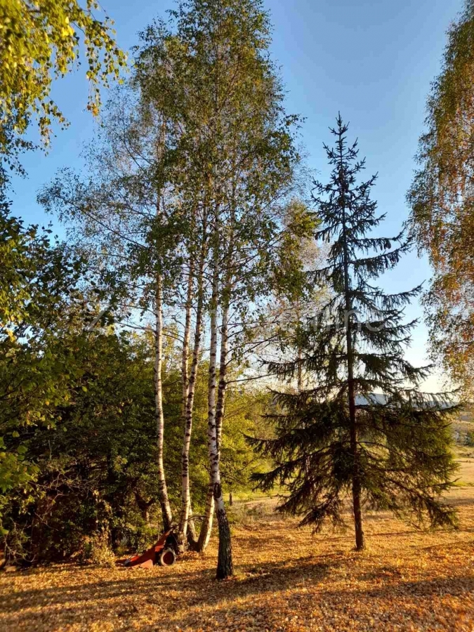 Prelep plac od 60a, Zlatibor, naselje Zova, kod Zlatiborskih konaka