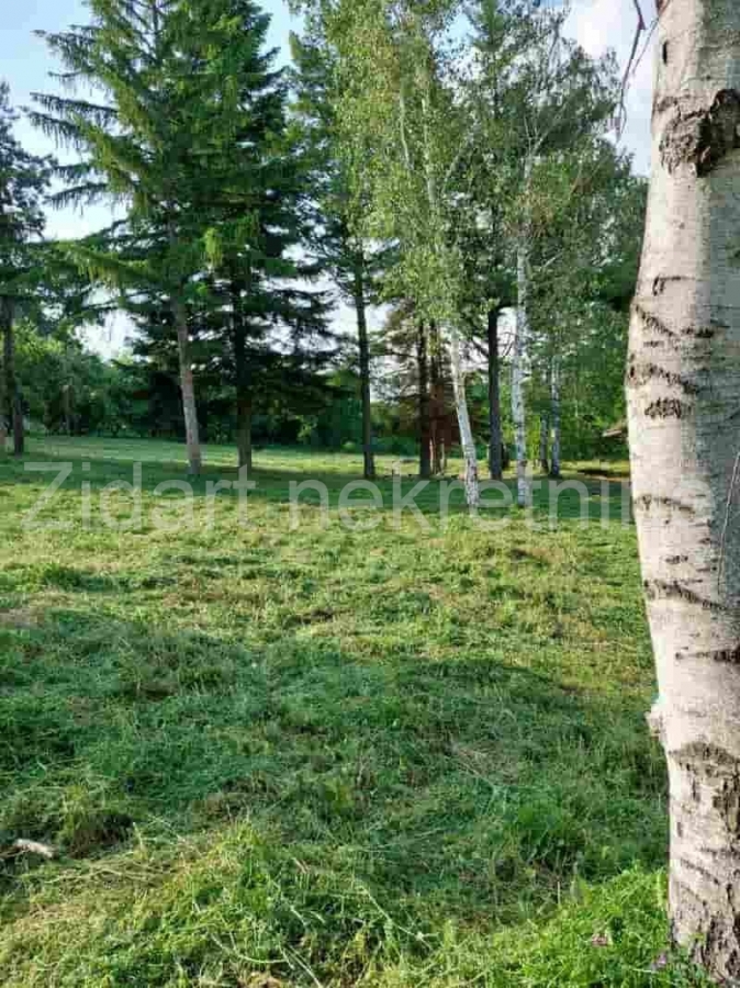 Veliki Borak, prodaja prizemne kuće na prostranom placu