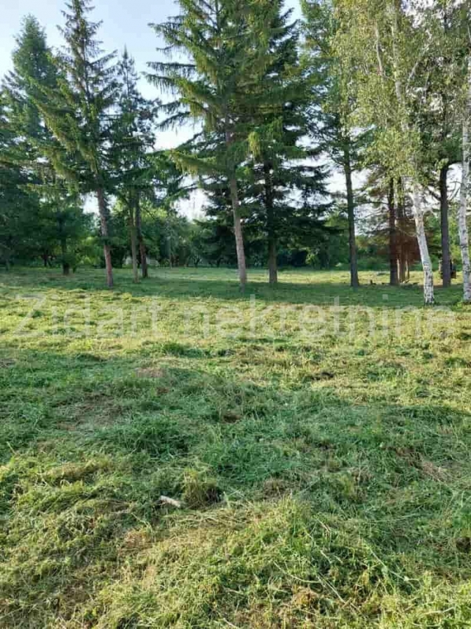 Veliki Borak, prodaja prizemne kuće na prostranom placu