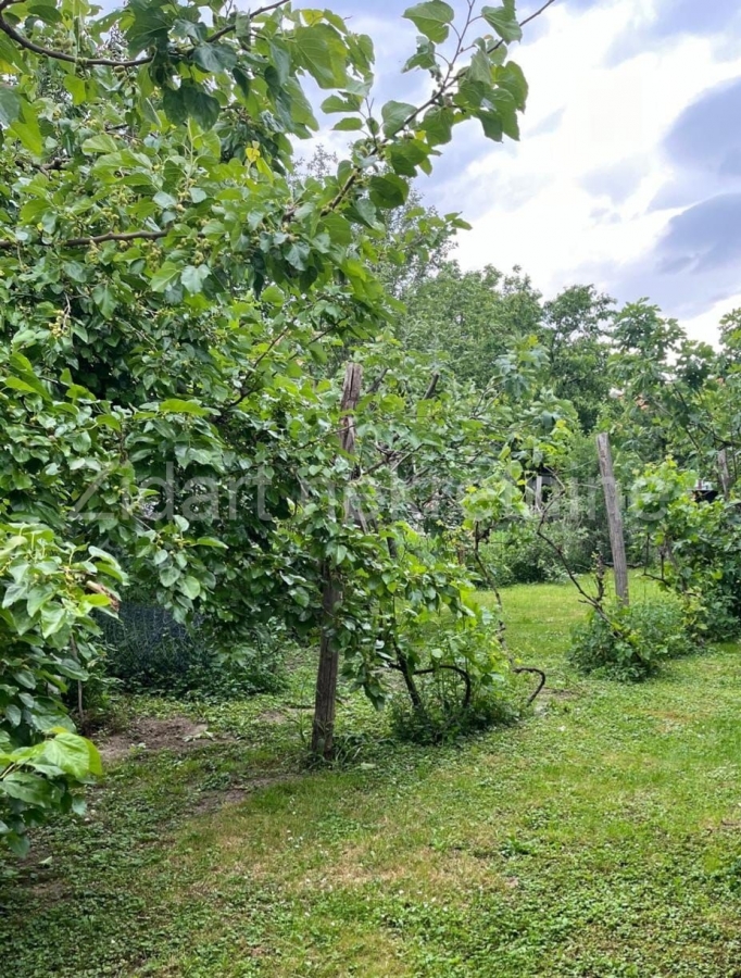 Grocka, Boleč, kuća, oaza mira