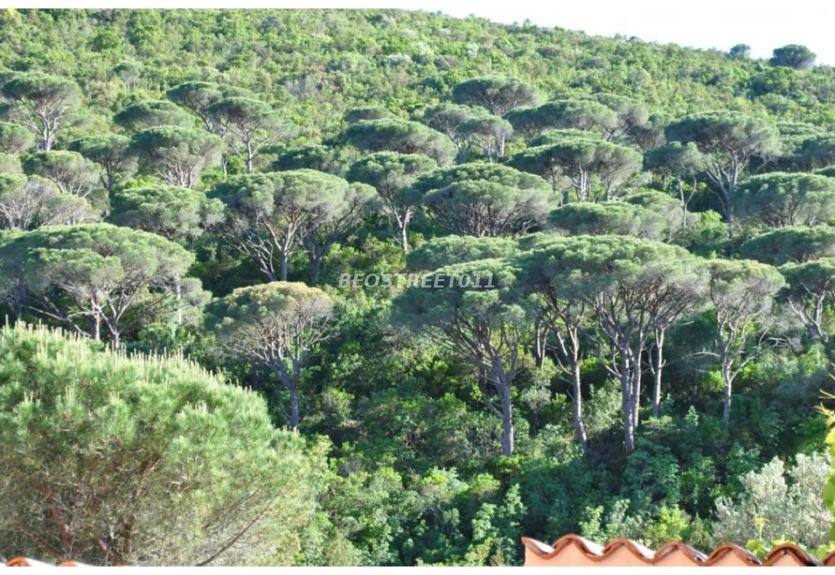 Poluostrvo Luštica -Mirišta kuća 100 m2 na 3, 7 a