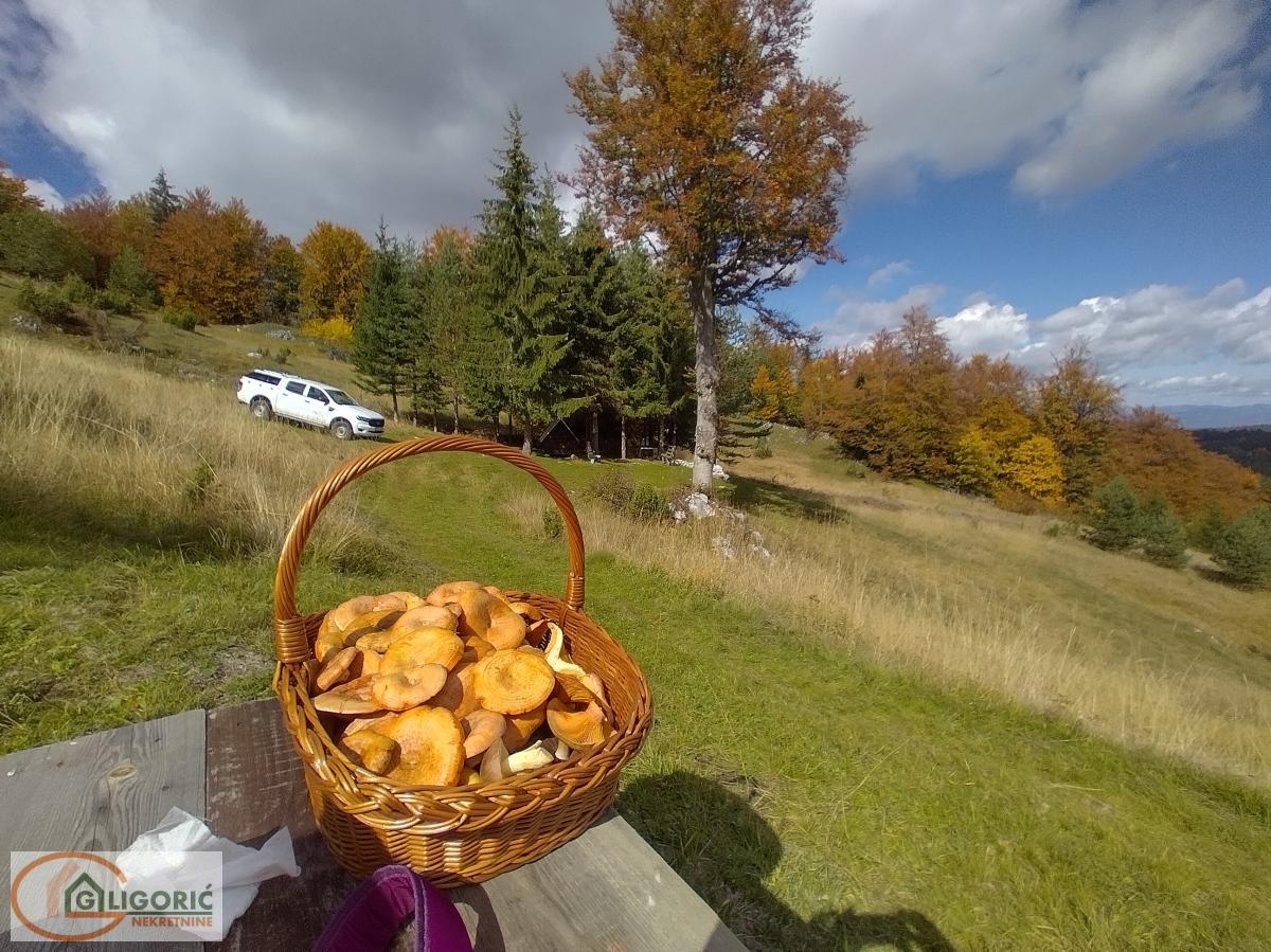 Plac na planini Tara - Uknjižen