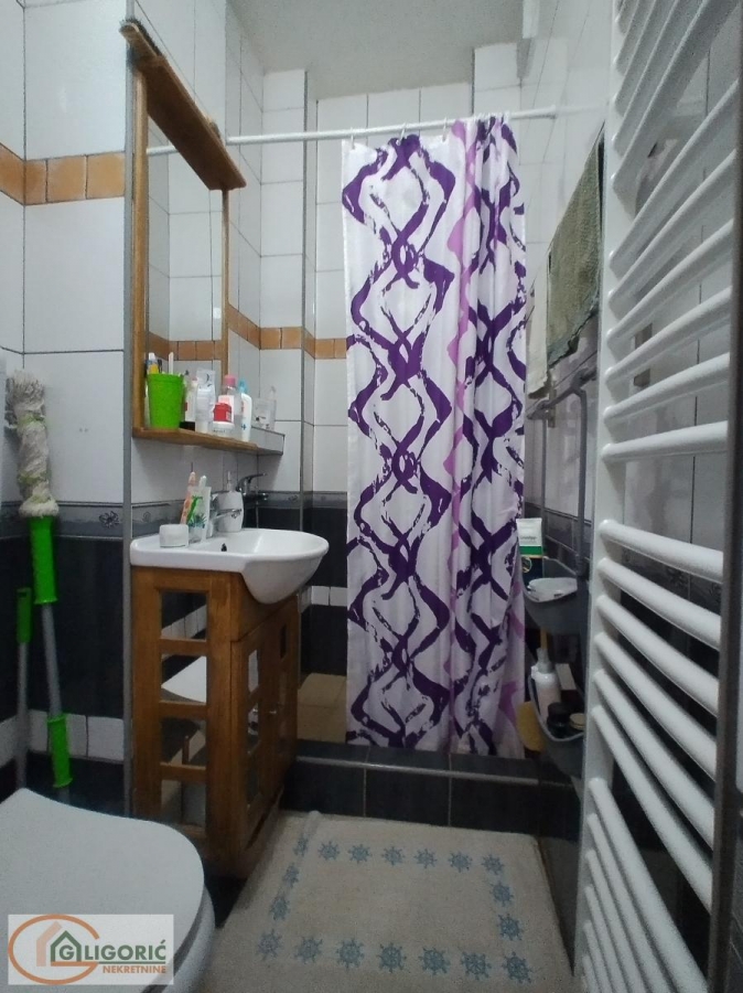 Uknjižen apartman na Mokroj Gori