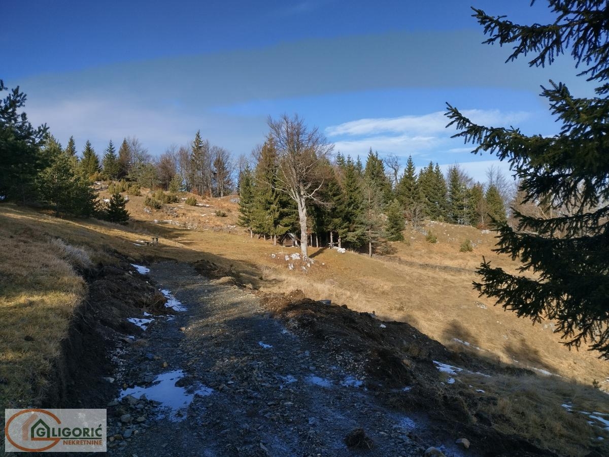 Plac na planini Tara - Uknjižen