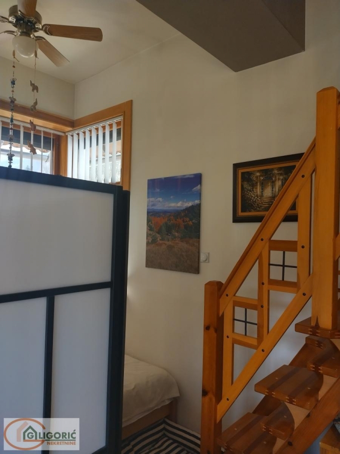 Uknjižen apartman na Mokroj Gori