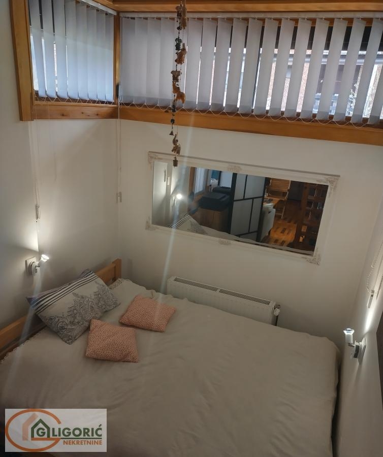 Uknjižen apartman na Mokroj Gori