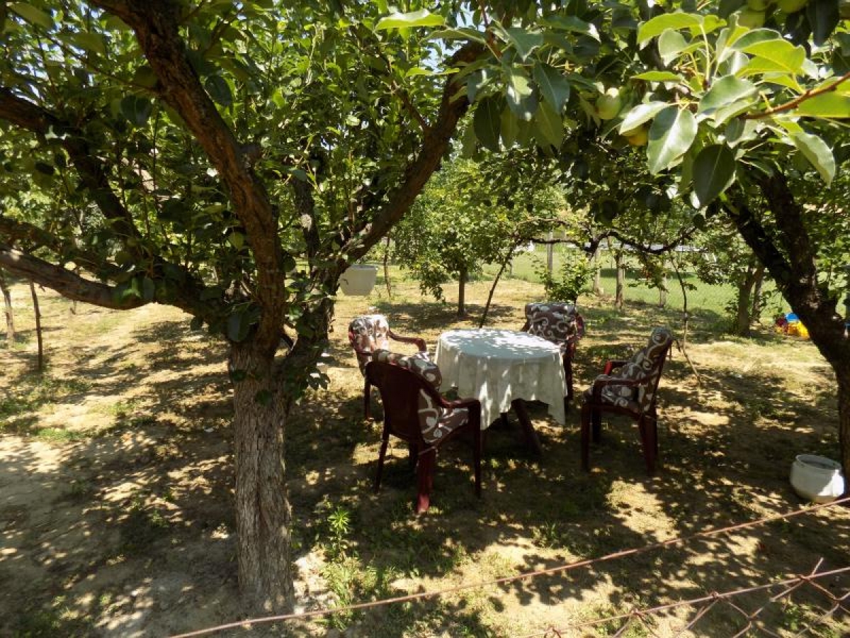 Kuća sa velikim placem za odmor i uživanje u blizini Morave