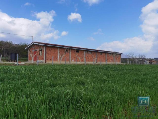 Izdavanje, Magacin, 250m2 , Stropsko