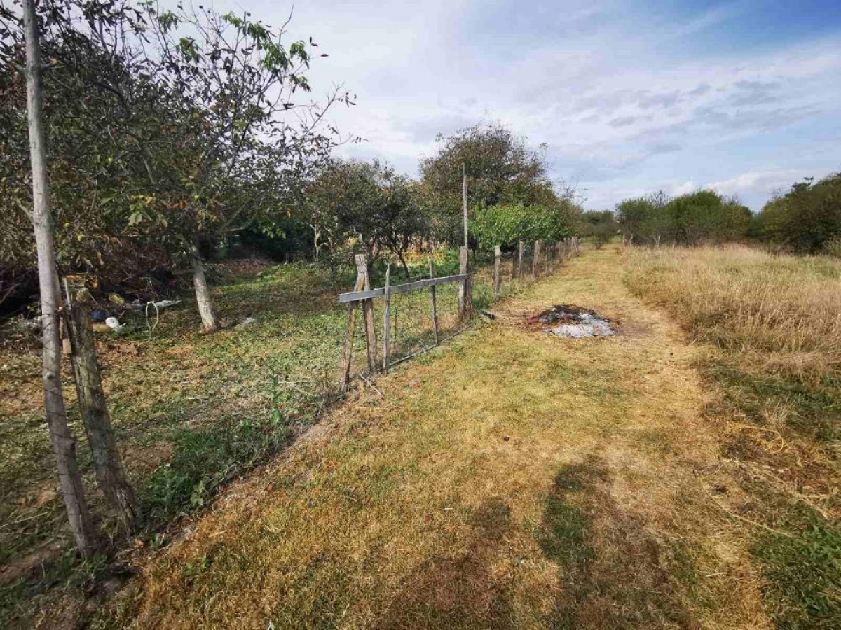 Ground floor cottage with a large plot