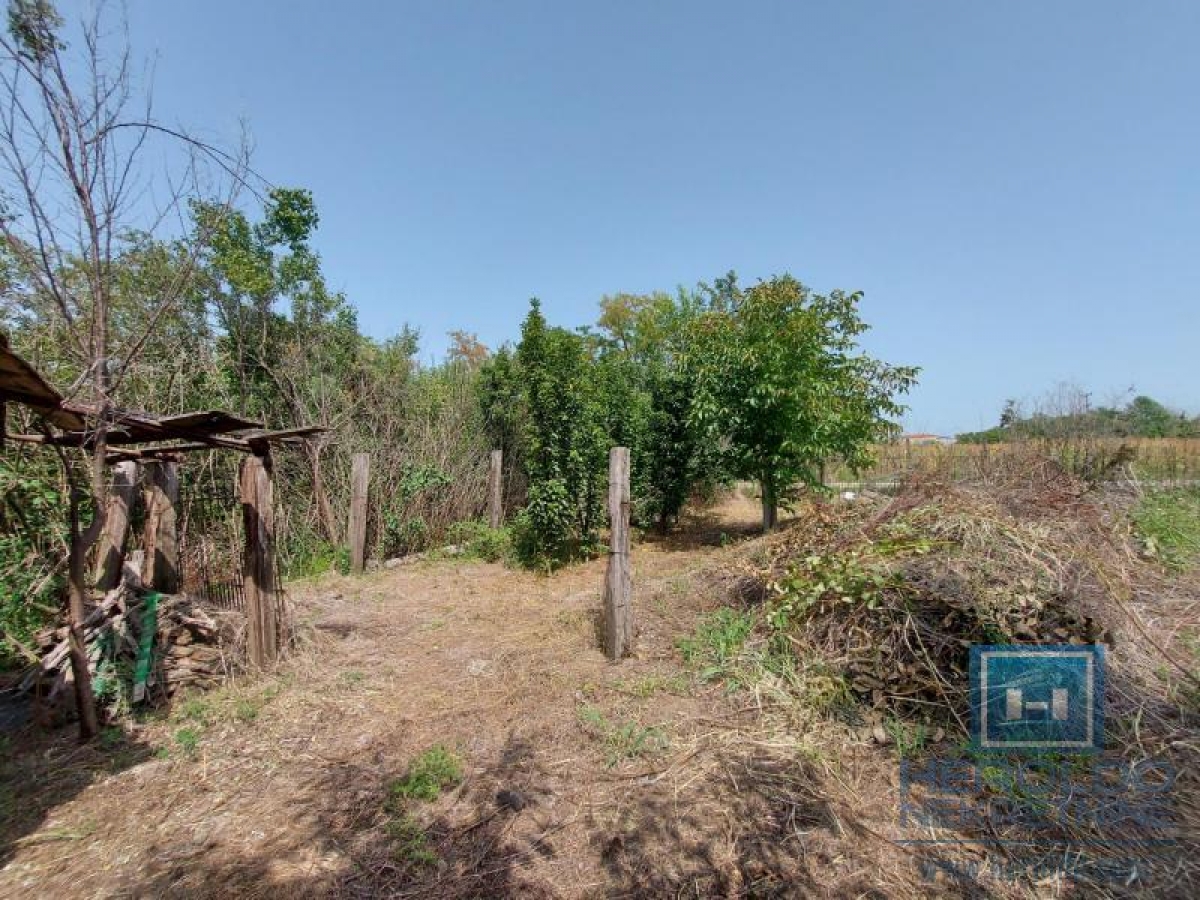 A house with a plot of 18 a.m. in the Panjevački rit settlement