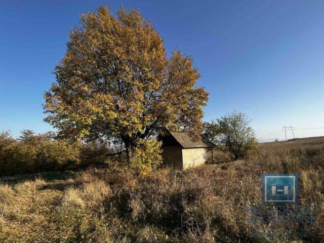 cottage on 341.21 acres of land