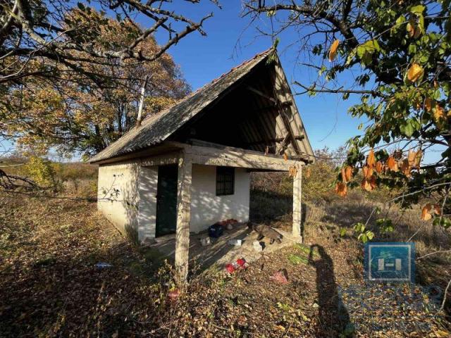 cottage on 341.21 acres of land