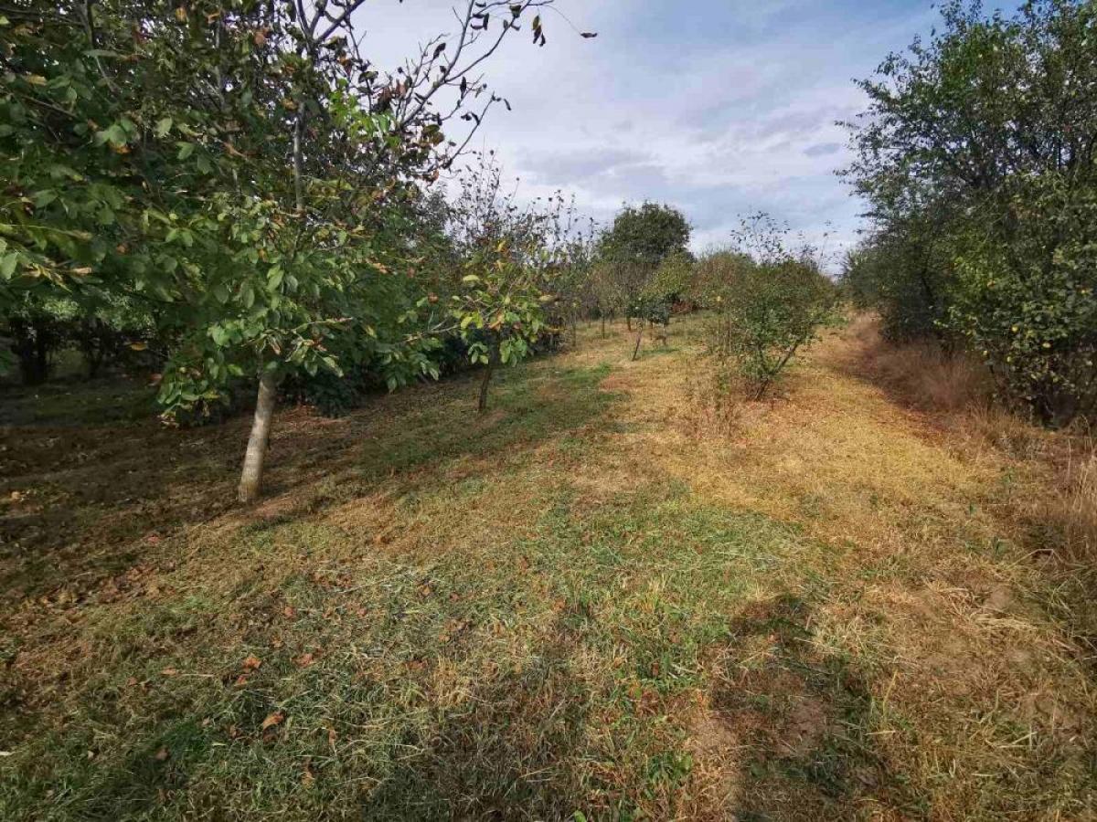 Ground floor cottage with a large plot