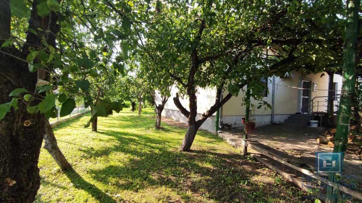 A house with a higher price in Jagodina