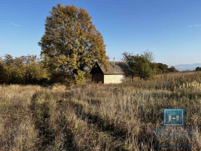 cottage on 341.21 acres of land