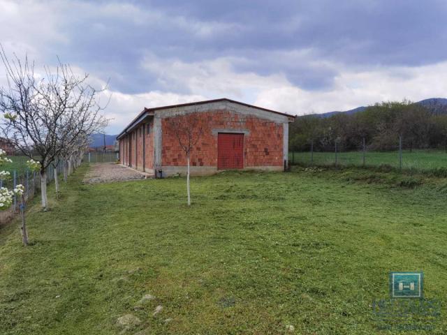 Izdavanje, Magacin, 250m2 , Stropsko