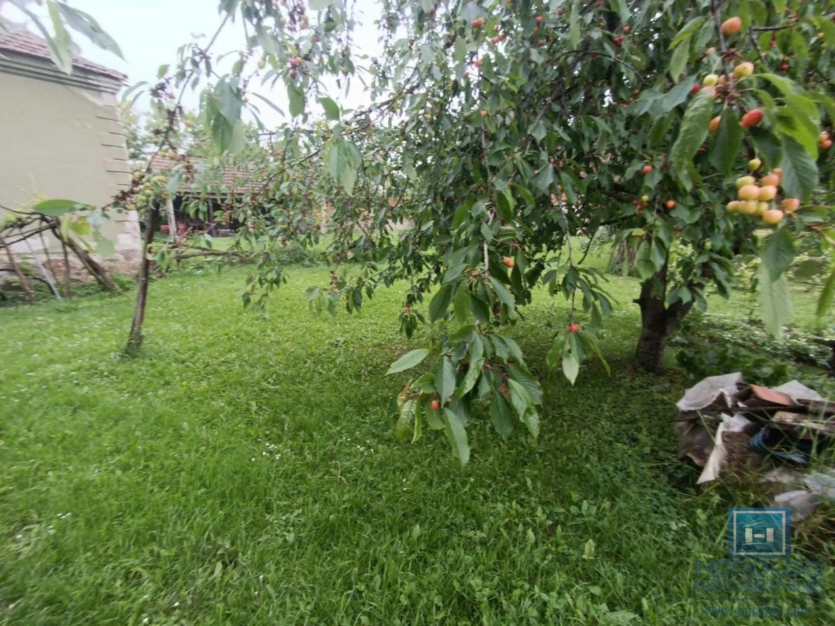 Prelepo, veliko seosko domaćinstvo sa 73 ara okućnice